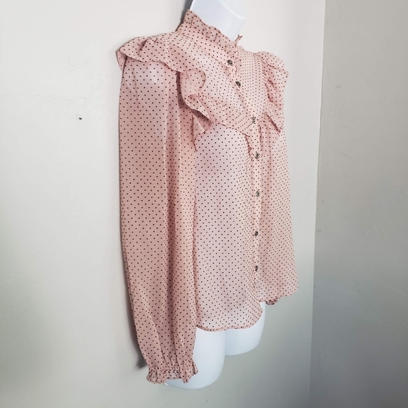 Zara Women's Small Sheer Light Pink Long Sleeve Blouse Red Velvet Polka Dots Top - Picture 8 of 9